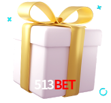 Receba seus bônus de boas-vindas no 513bet